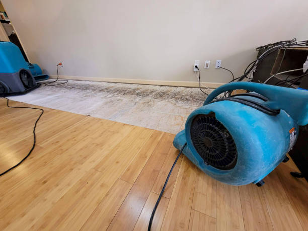 Professional Water Damage Repair technician working in Fowler, IN